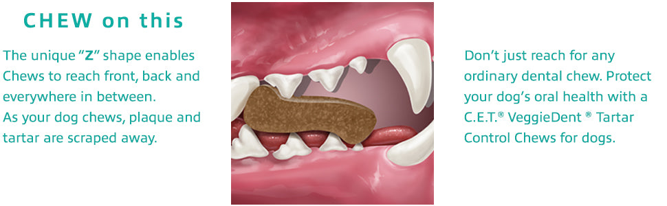 C.E.T VeggieDent FR3SH Chews for Dogs (30 Chews)