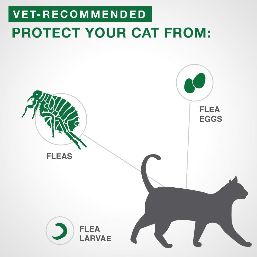 Advantage II Flea Protection for Large Cats weighing over 4 kg (over 9 lbs.) - 4 Month Supply! - Pet Medications | PetMedsToYourHome Canada