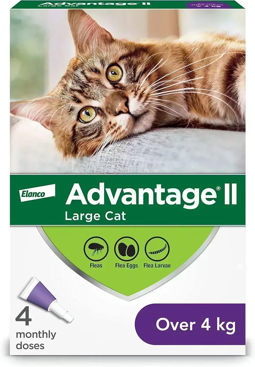 Advantage II Flea Protection for Large Cats weighing over 4 kg (over 9 lbs.) - 4 Month Supply! - Pet Medications | PetMedsToYourHome Canada