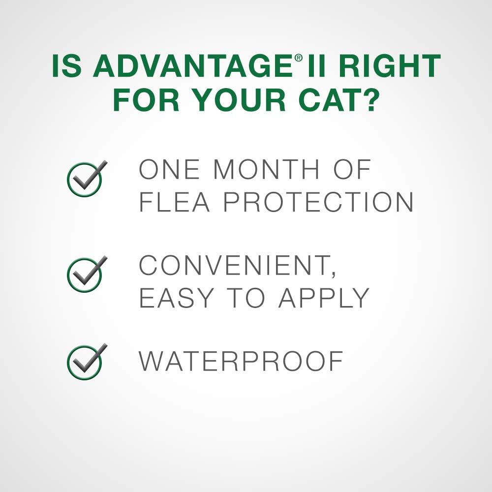 Advantage II Flea Protection for Large Cats weighing over 4 kg (over 9 lbs.) - 4 Month Supply! - Pet Medications | PetMedsToYourHome Canada