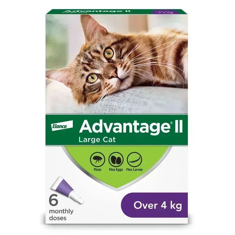 Advantage II Flea Protection for Large Cats weighing over 4 kg (over 9 lbs.) - 4 Month Supply! - Pet Medications | PetMedsToYourHome Canada