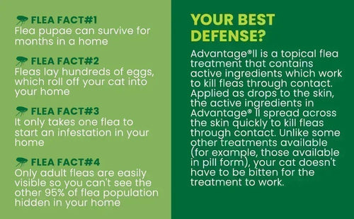 Interceptor Plus for Dogs in Canada | Heartworm & Dewormer Guide ...