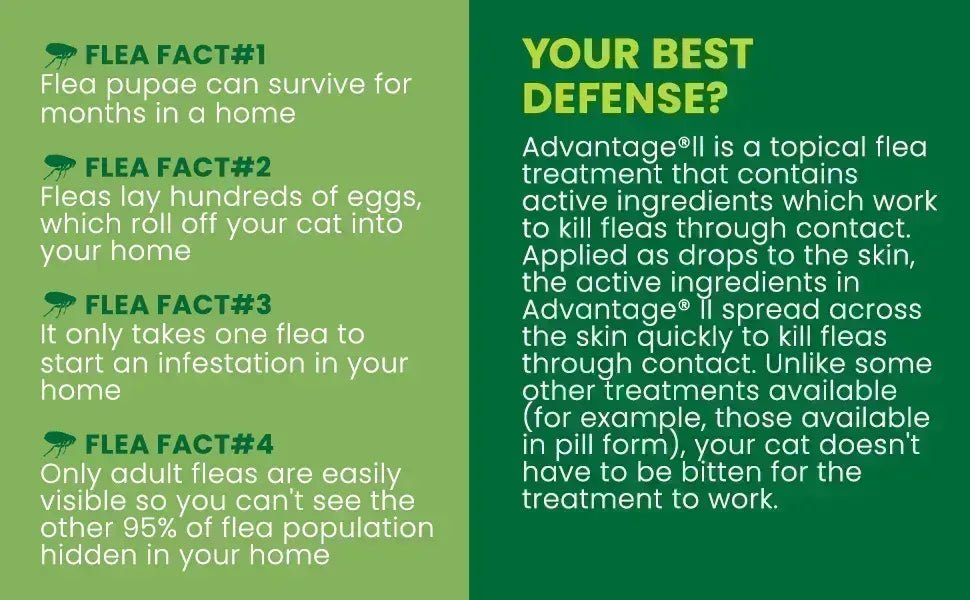 Advantage II Flea Protection for Large Cats weighing over 4 kg (over 9 lbs.) - 4 Month Supply! - Pet Medications | PetMedsToYourHome Canada