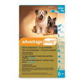Advantage Multi for Dogs | Prescription Flea, Heartworm & Parasite Protection - Prescription Pet Medication | PetMedsToYourHome Canada