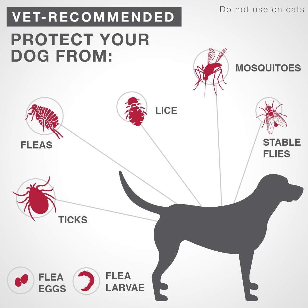 Advantix II Flea Treatment for Large Dogs Over 25 kg (Blue) - Dog Flea Drops | PetMedsToYourHome Canada