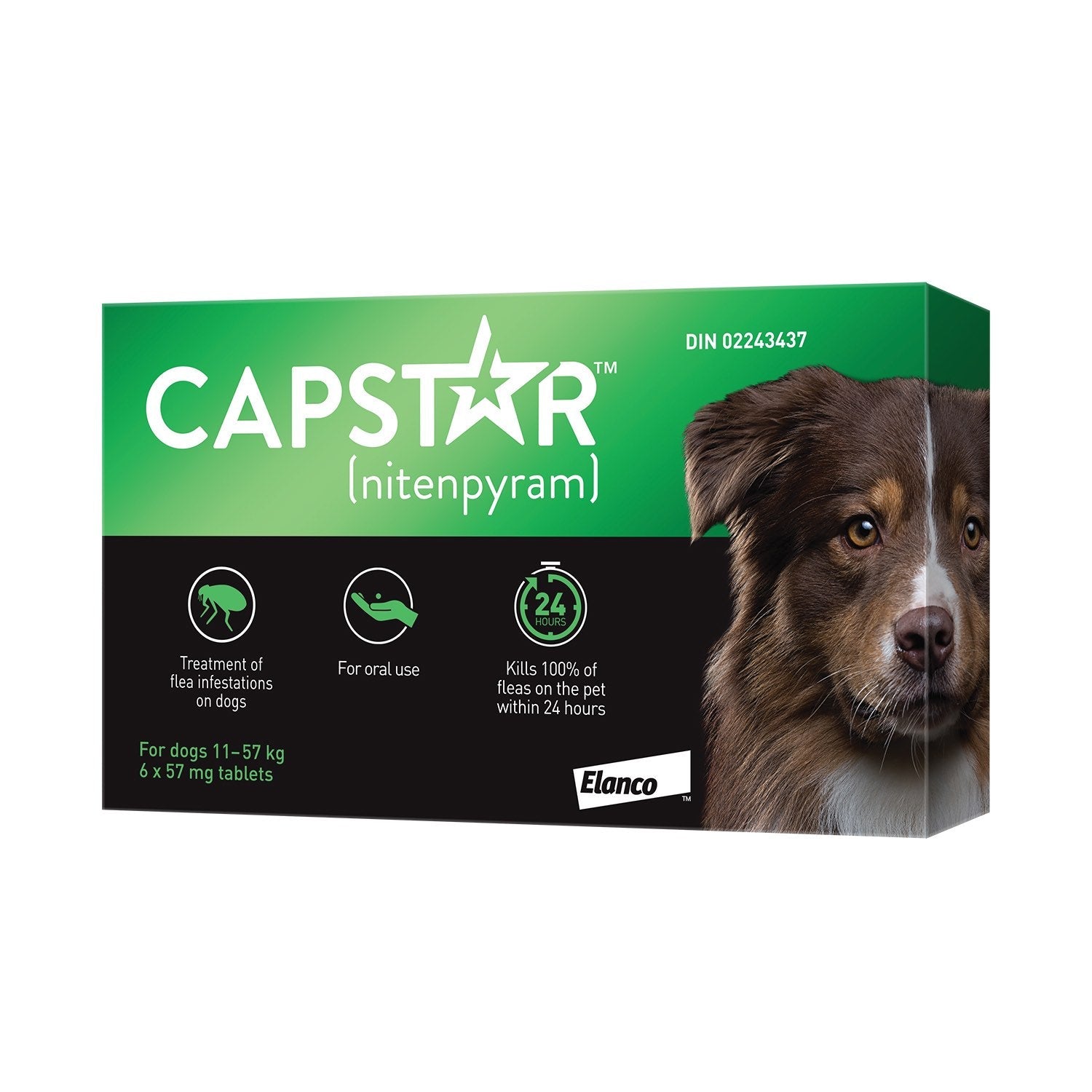 Capstar for Dogs Over 11kg (25lbs) - Fast - Acting Flea Treatment | Kills Fleas in 30 Minutes | 6 Tablets - Flea & Tick Treatment | PetMedsToYourHome Canada