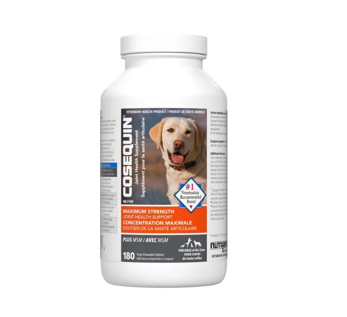 Cosequin DS Maximum Strength Plus MSM Joint Health Supplement for Dogs (180 Chewable Tablets) - Joint & Arthritis Support | PetMedsToYourHome Canada