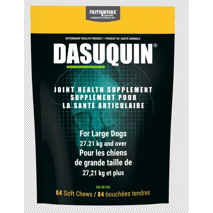 Dasuquin with MSM for Large Dogs (27.21 kg+) — 84 Soft Chews - Joint Health Supplement | PetMedsToYourHome Canada