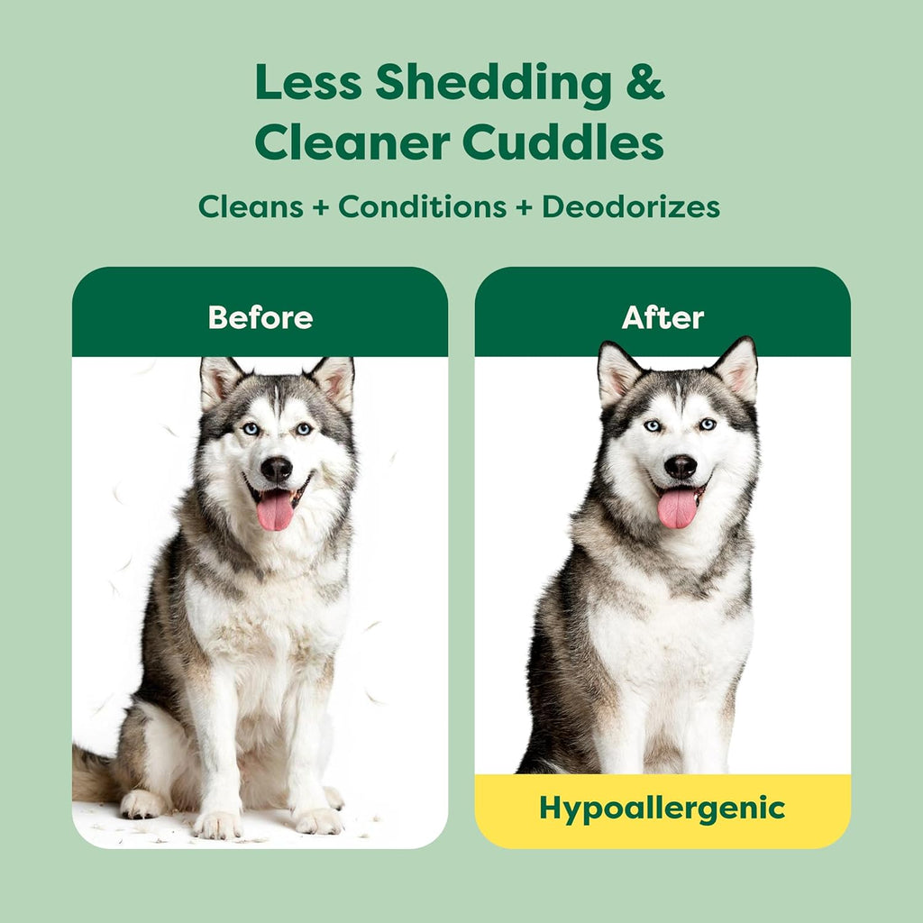 Earth Rated 3-in-1 Shampoo for Dogs with Double Coats | Shampoo, Conditioner & Detangler - Dog Accessories | PetMedsToYourHome Canada
