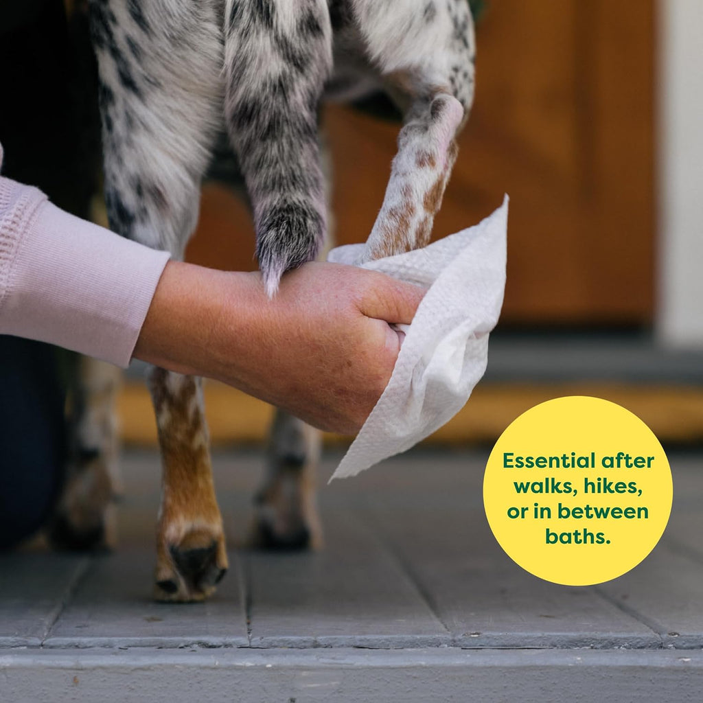Earth Rated Pet Grooming Wipes for Dogs | Hypoallergenic Dog Wipes - Dog Accessories | PetMedsToYourHome Canada