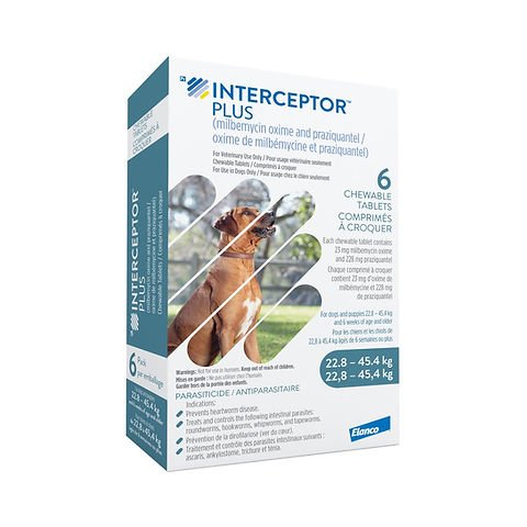 Interceptor Plus for Dogs | Heartworm & Dewormer Tablet | From $5.68/Tablet - Prescription Pet Medication | PetMedsToYourHome Canada