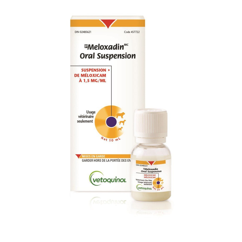 Meloxadin Meloxicam 1.5mg/mL Oral Suspension for Dogs | Prescription NSAID Pain & Inflammation Relief - Prescription Medication | PetMedsToYourHome Canada