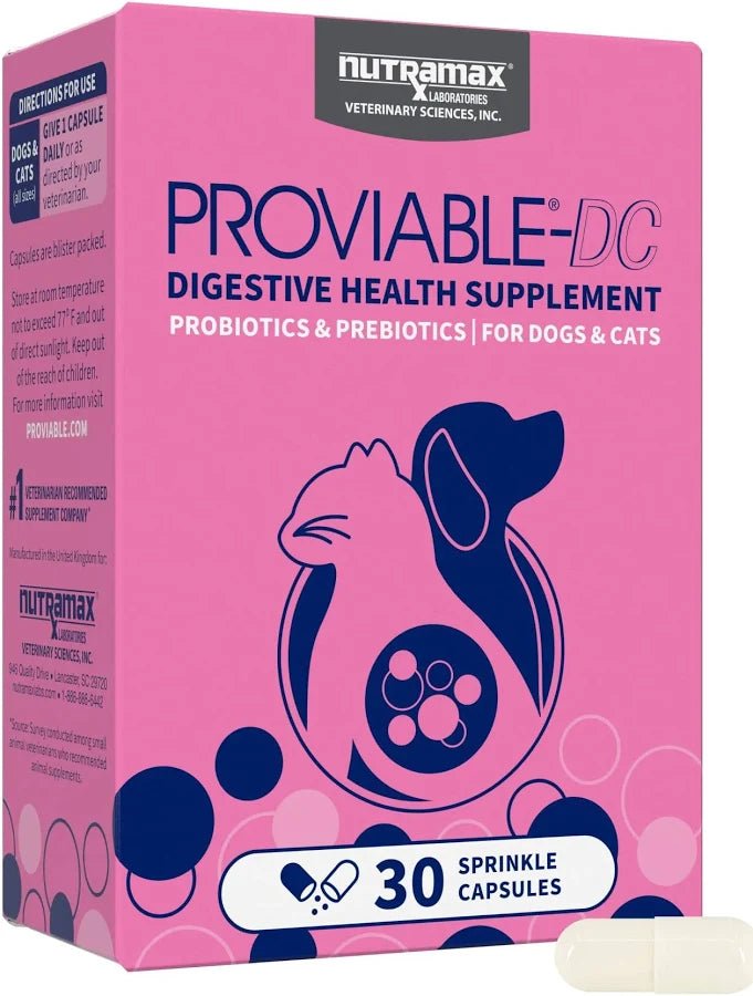 Nutramax Proviable-DC Digestive Health Supplement for Dogs & Cats - Digestive Health Supplement | PetMedsToYourHome Canada