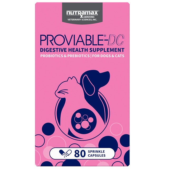 Nutramax Proviable-DC Digestive Health Supplement for Dogs & Cats - Digestive Health Supplement | PetMedsToYourHome Canada