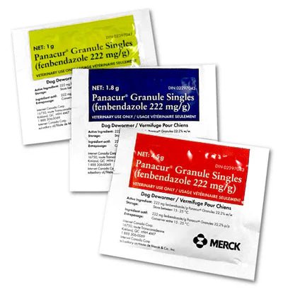 Panacur Granules for Dogs & Cats - Dewormer Treatment | 1g, 1.8g, 4.5g Sachets - Dewormer | PetMedsToYourHome Canada
