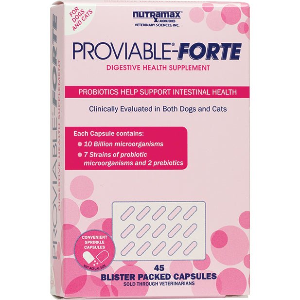 Proviable Forte Probiotic Capsules for Cats & Dogs | 10 Billion CFUs | Nutramax - Probiotic Supplement | PetMedsToYourHome Canada