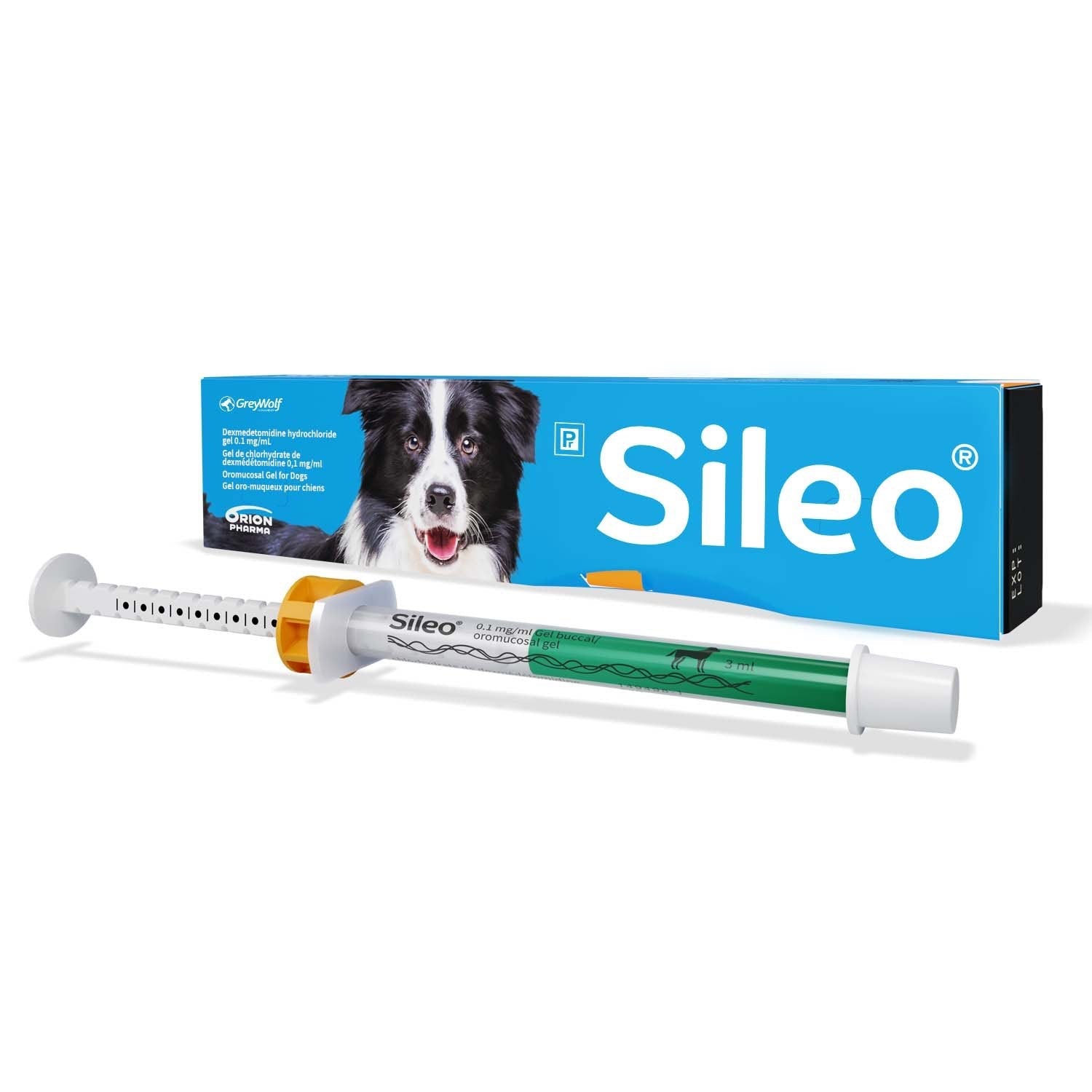 Sileo Oromucosal Gel for Dogs (Dexmedetomidine 0.1 mg/mL) - Prescription Medication | PetMedsToYourHome Canada